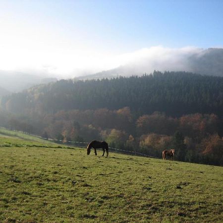 Ferienhaus Rhoenspass Mosbach  Esterno foto
